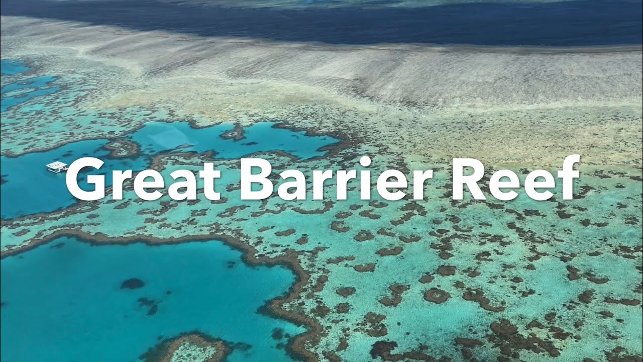 Experience a virtual helicopter ride over Great barrier reef and coastline.