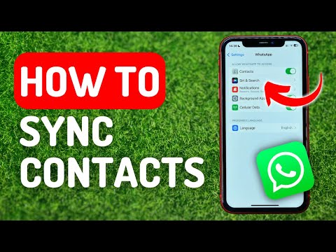 How to Sync Whatsapp Contacts - Full Guide