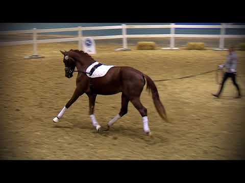 Morricone I x Diamond Hit