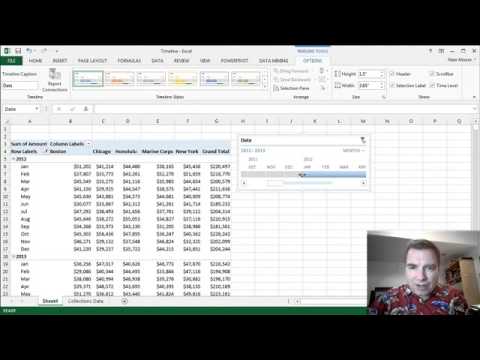 Excel Video 378 Timelines Part 1
