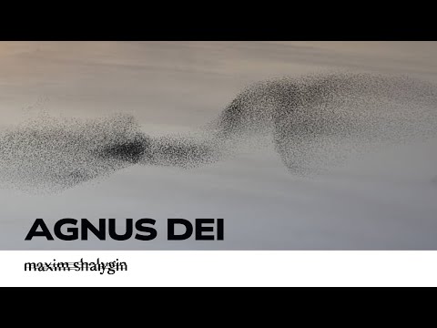 Maxim Shalygin "Agnus Dei"