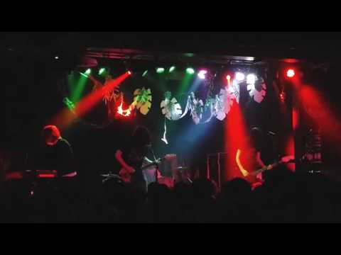 The Wytches - C Side - Live at Belgrave Music Hall & Canteen, Leeds UK