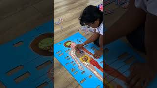 Gift your kids Our best Seller Human Body Puzzle with pieces cut in the shape of
