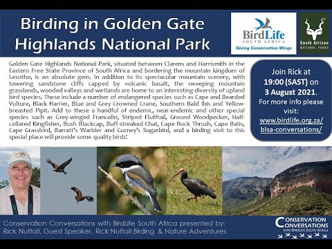 Conservation Conversations: Rick Nuttall - Birding in Golden Gate National Park