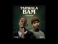 Tshwala Bam Amapiano Mix | Deep House & Afro House Grooves