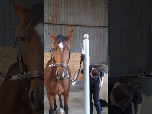 &Agrave; vendre Hilpetille 