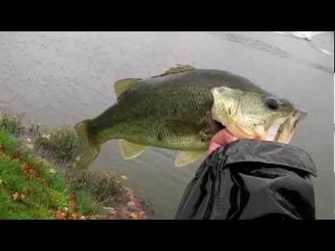 Cold Front Bass Fishing With Swimbaits