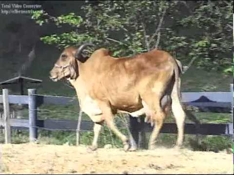 JSV 6 - Fortuna Vadiar TE