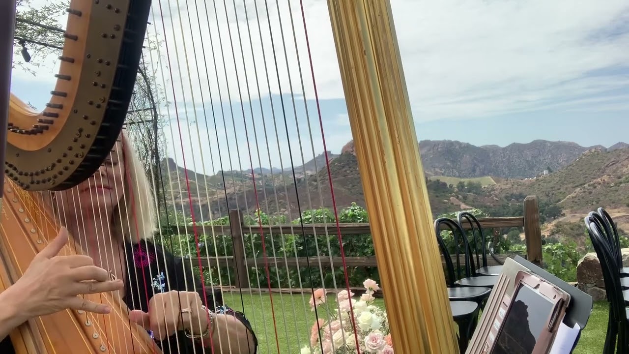 Promotional video thumbnail 5 for Peggy Skomal Harpist & Ensembles