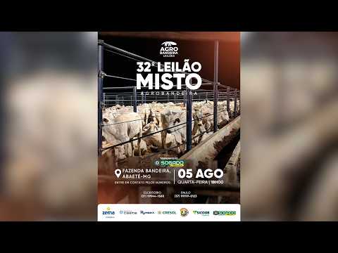 32º LEILÃO MISTO - AGRO BANDEIRA EM ABAETÉ/MG - 05/08/2026