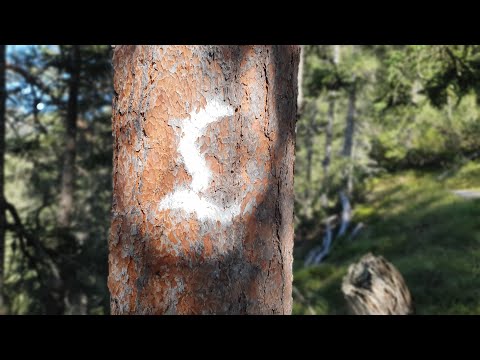 Der Lechweg -  Die Fernwanderung vom Lech nach Füssen