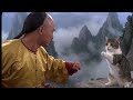 Kung Fu Cat
