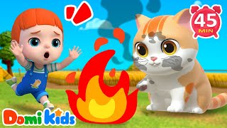 插座危險不能摸 ⚡🚫 | 幼兒安全教育 | 家庭安全啟蒙 | 親子互動遊戲 | 寶寶自我保護 | 寶貝多米