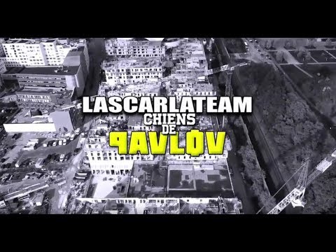 Lascarlateam - Chiens de Pavlov (clip officiel)