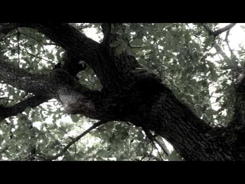 Nem túl vidám park