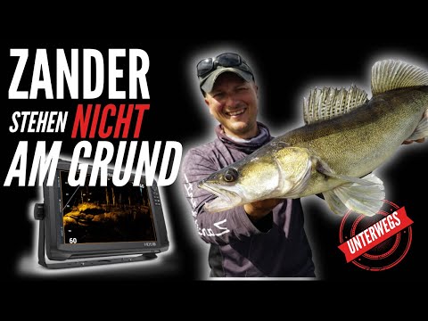 Vlog: Where are the bigger zander in summer?