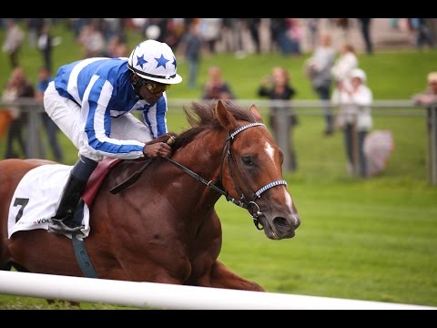 Düsseldorf: 91. Junioren-Preis (Listenrennen) - Sieger: Noor Al Hawa