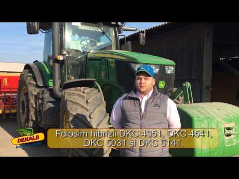 Testimonial DKC 4351, DKC 4541, DKC 5031, DKC 5141 - Lacatus Raul Alexandru