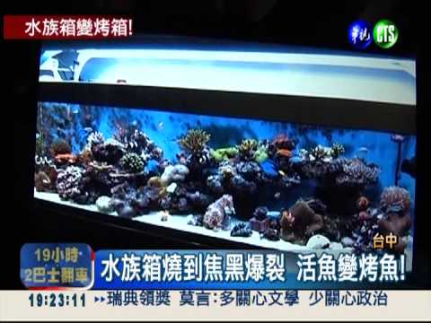 水族箱電線火火 觀賞魚變烤魚!