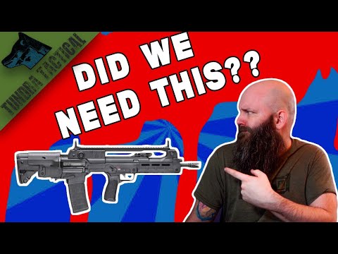 The Springfield Armory Hellion : Springfield Did It Again