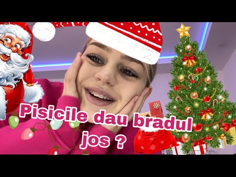 #VLOGMAS #2 Decoram casa🥳🎄