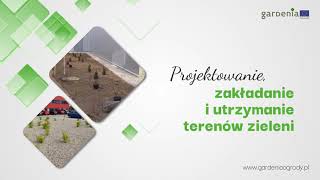 Zobacz filmy filmy