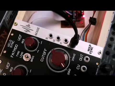 Wildsync Noise 1u Intellijel format image 7