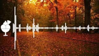 Phuse x Jo-B Sebastian - Breathe Again