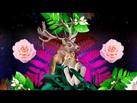 KOMBI Łosowski – Ale co z tego [Official Music Video]