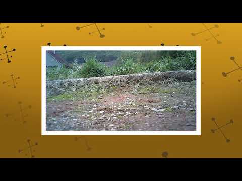 We are Future Zš s Mš diviaky nad nitricou prievidza EDL Slovakia Chain 2017