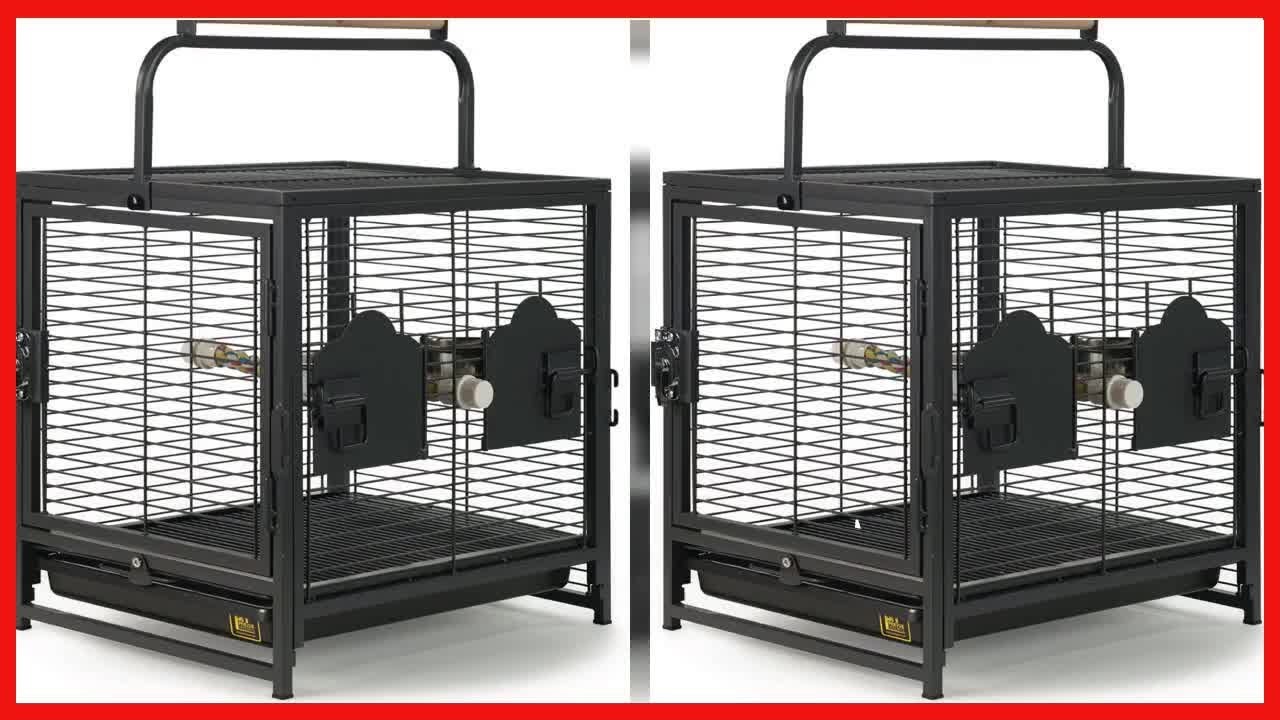 Bon produit -  Prevue Pet Products Transporteur de voyage pour oiseaux, petite cage portable pour oi