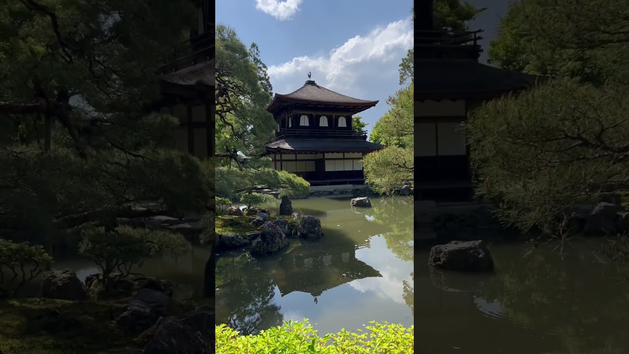 YouTube Short thumbnail