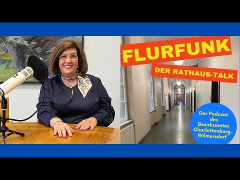 #19 BVV - Bitte was? BV-Vorsteherin Judith Stückler erklärt Politik im Bezirk