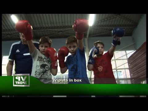 Tripleta in box