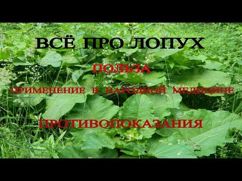 Форум тех кто избавился от болей в шее Очень сильно болит поясница в первый день месячных