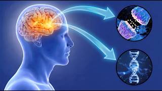 Ondas Cerebrales Gamma 🧠 Concentración Profunda Extrema y enfoque al máximo