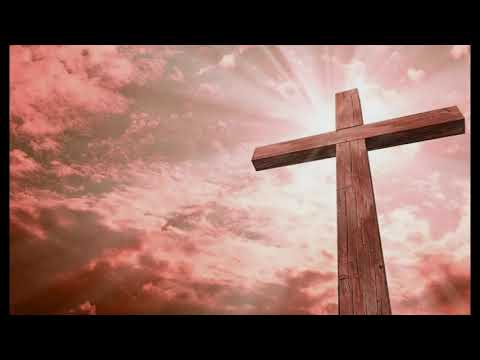 download lagu mp3 mp4 Rainer Wende Predigten, download lagu Rainer Wende Predigten gratis, unduh video klip Rainer Wende Predigten