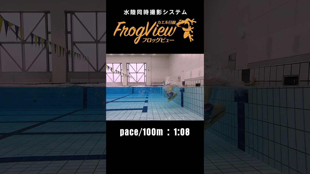【FrogView】カエル目線でスイマーを撮影する【FrogView】 #swimming #水中撮影
