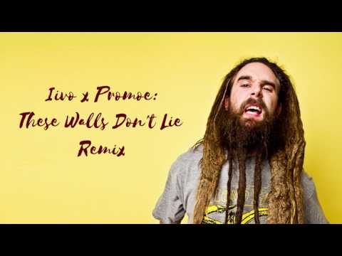 Iivo x Promoe - These Walls Don't Lie (remix) x 2017