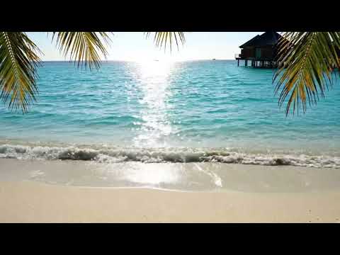 Private Beach in Maldives: Infinite Abundance and Deep Relaxation (4K ASMR)