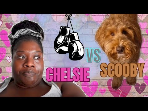 CHELSIE JANEA REACTION #commentary #reaction 