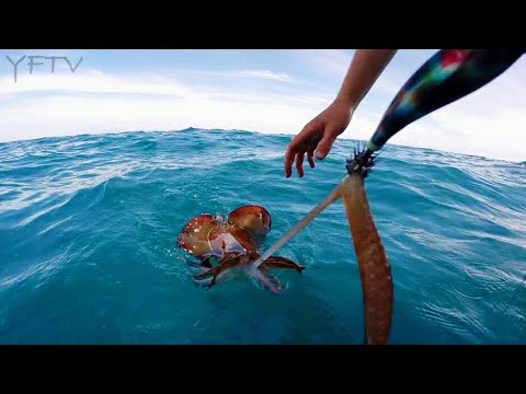 CALAMARI SQUID MADNESS EGI STYLE - YouFishTV