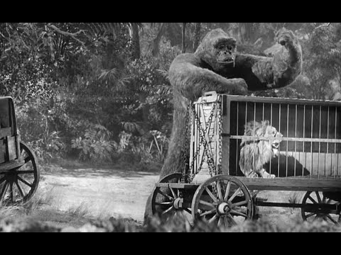 Mighty Joe Young (1949) Fights Lion & More!