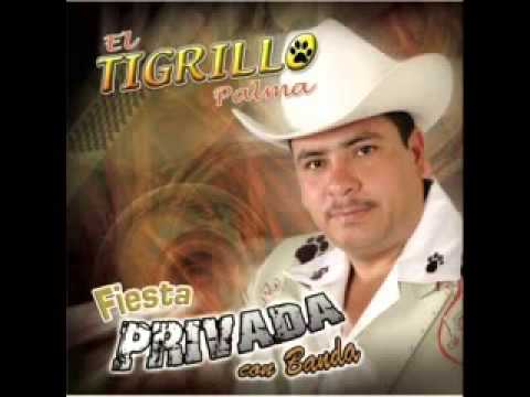 download lagu mp3 mp4 Con Que Me Pagas El Tigrillo Palma, download lagu Con Que Me Pagas El Tigrillo Palma gratis, unduh video klip Con Que Me Pagas El Tigrillo Palma