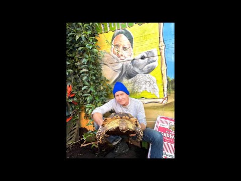 , title : 'Catch up with the Tortoises & The Tortoise Guy 🐢'
