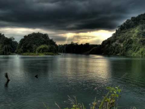 St John Vs Locust - Mind Circles (Passiva Rmx)