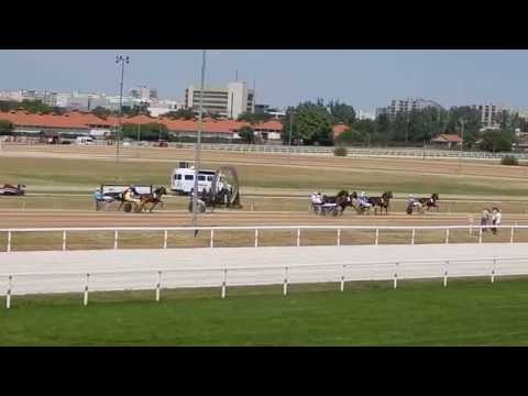 Győztes a Jegyzőnő!