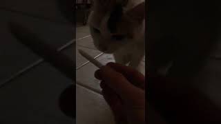 Nip Joint