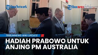 Gestur Hangat Prabowo Beri Hadiah Untuk Anjing PM Australia, Diplomasi Melalui Hewan Peliharaan