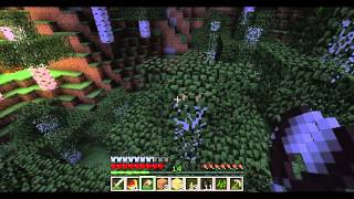 preview picture of video 'Minecraft Survival:Amplified-episode 10-Creepers and exploration'